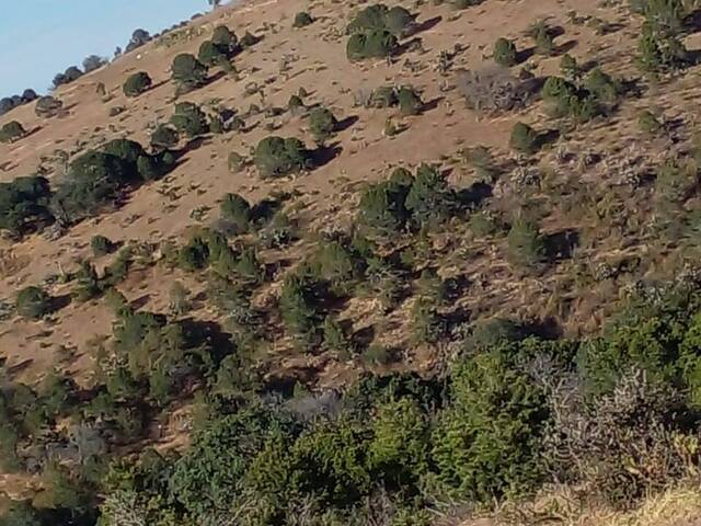 #1 - Terreno para Venta en Ciudad de México - DF - 2