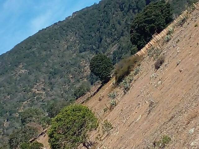 #1 - Terreno para Venta en Ciudad de México - DF - 3