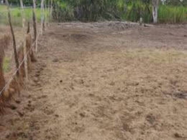 #1 - Terreno para Venta en Perez Zeledon - SJ - 3