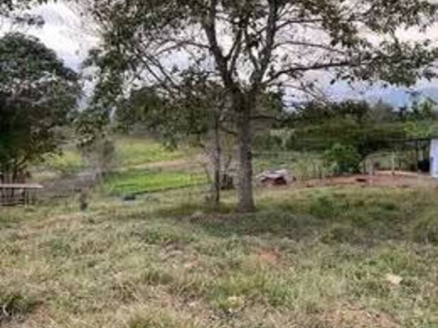 #1 - Terreno para Venta en Perez Zeledon - SJ - 2