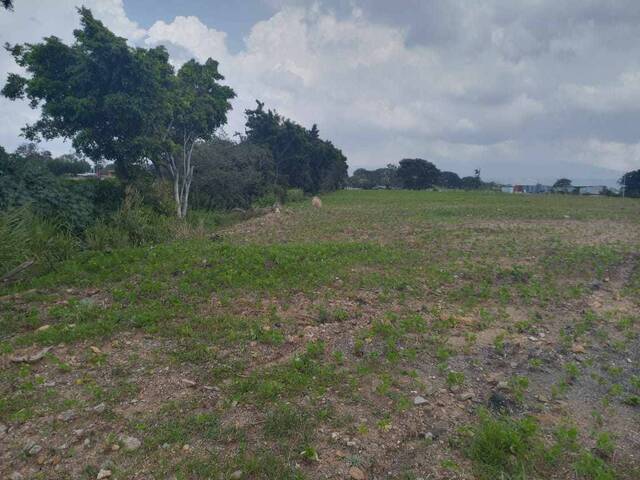 #10 - Terreno para construcción para Venta en Alajuela - A - 2