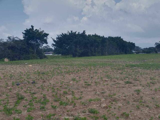 #10 - Terreno para construcción para Venta en Alajuela - A - 3