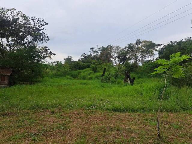 #13 - Terreno para Venta en Abangares - G - 2