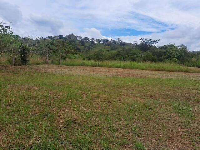 #13 - Terreno para Venta en Abangares - G - 1