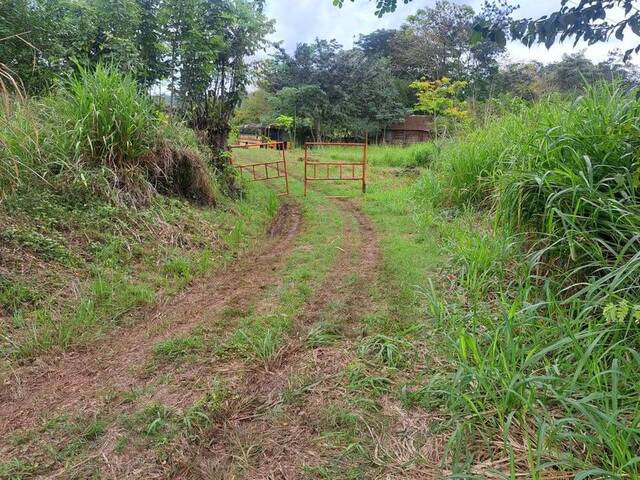 #13 - Terreno para Venta en Abangares - G - 3